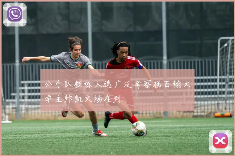 公牛队教练人选广泛考察杨百翰大学主帅凯文杨在列